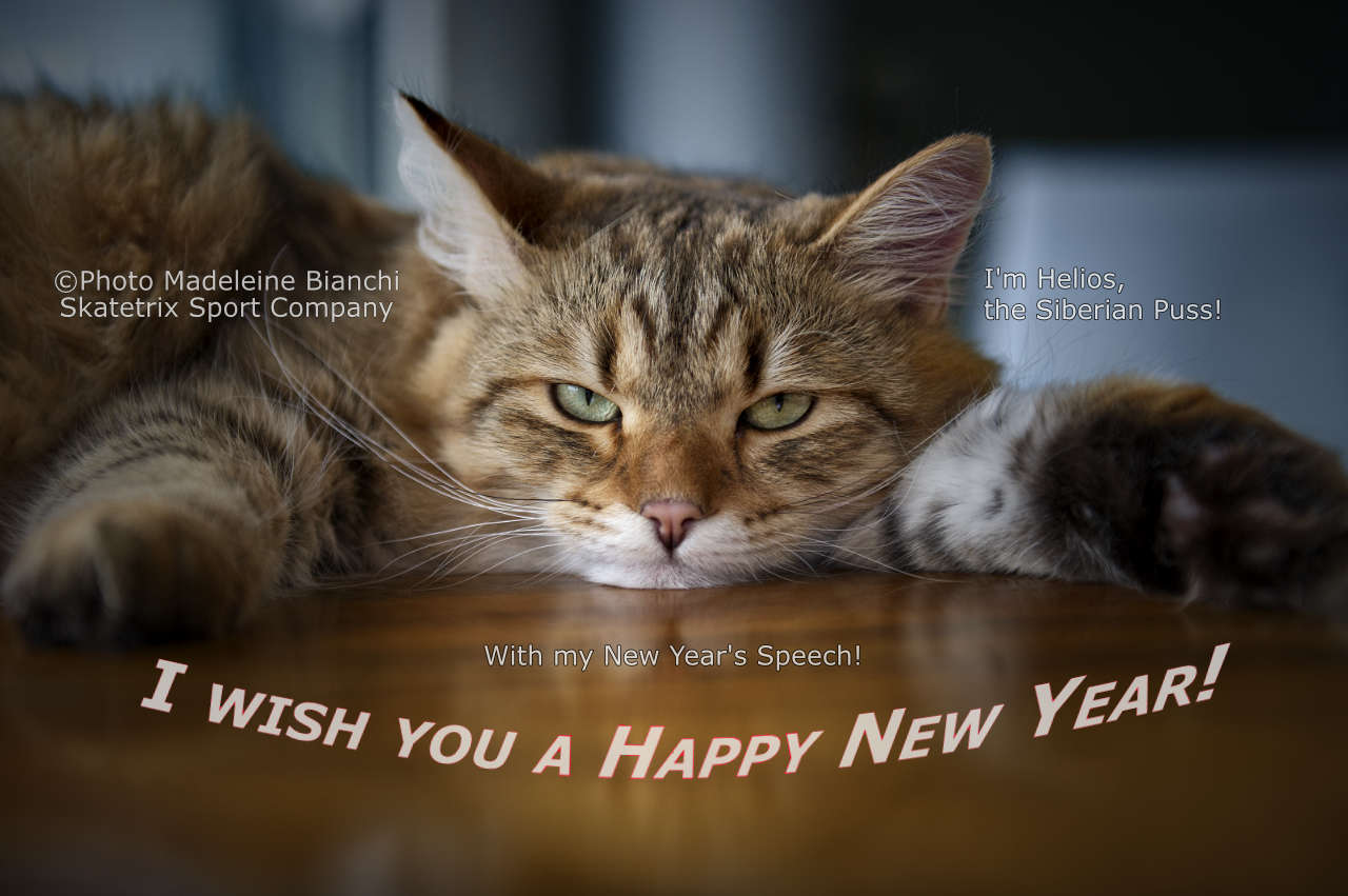 HELIOS, THE SIBERIAN PUSS - MY BEST NEW YEAR's WISHES TO THE YEAR 2022! WITH MY APPERTAINING NEW YEAR's SPEECH! The latter is absolutely exempt from amusement tax!